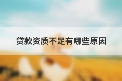 贷款资质不足有哪些原因?这几点比较常见