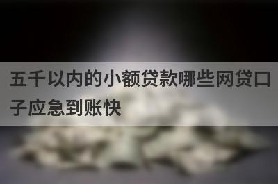 五千以内的小额贷款哪些网贷口子应急到账快?
