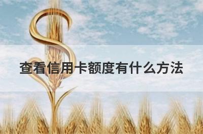 查看信用卡额度有什么方法?这四点教会你