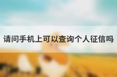 请问手机上可以查询个人征信吗?