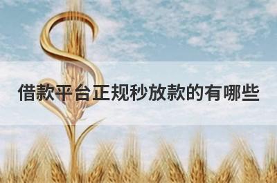 借款平台正规秒放款的有哪些?精心整理5个好下款的借贷平台