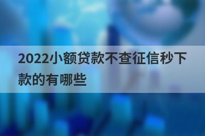 2022小额贷款不查征信秒下款的有哪些?这几个下款率比较高