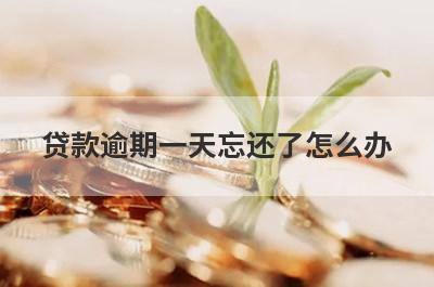 贷款逾期一天忘还了怎么办