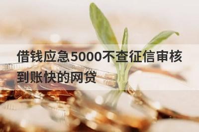 借钱应急5000不查征信审核到账快的网贷