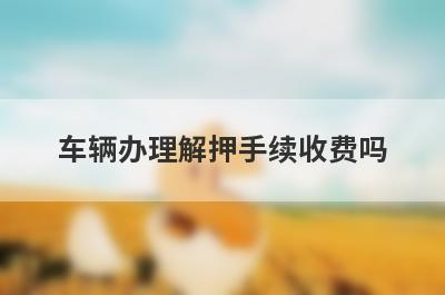 车辆办理解押手续收费吗 