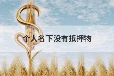 个人名下没有抵押物