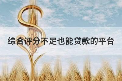 综合评分不足也能贷款的平台,5个不看综合评分也能借钱的网贷