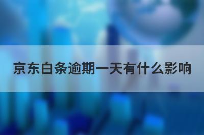 京东白条逾期一天有什么影响