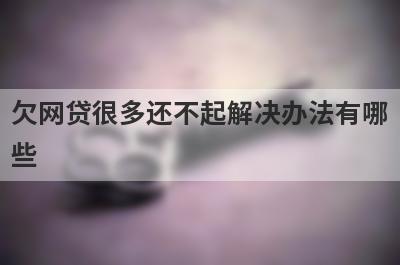 欠网贷很多还不起解决办法有哪些?