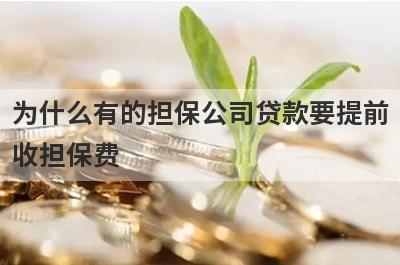 为什么有的担保公司贷款要提前收担保费?如何避免担保套路?