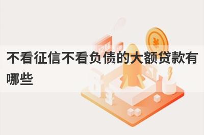 不看征信不看负债的大额贷款有哪些?容易借钱的大额贷款