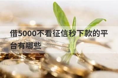 借5000不看征信秒下款的平台有哪些?不看征信借款5000马上到账的