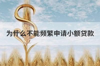 为什么不能频繁申请小额贷款 主要有这些不良影响