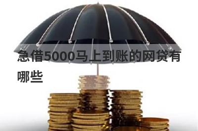 急借5000马上到账的网贷有哪些?借钱应急5000秒到账