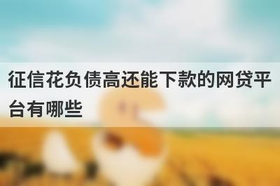 征信花负债高还能下款的网贷平台有哪些?这几个口子不看征信不看负债