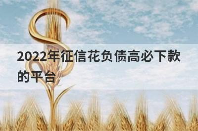 2022年征信花负债高必下款的平台,这些征信花也能下款