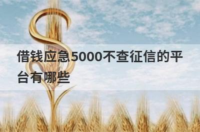 借钱应急5000不查征信的平台有哪些?这几个借款5000马上到账