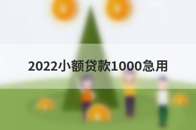 2022小额贷款1000急用,可以借1000元的小额贷款平台
