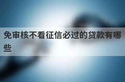免审核不看征信必过的贷款有哪些?精选5个不看征信能过的贷款口子