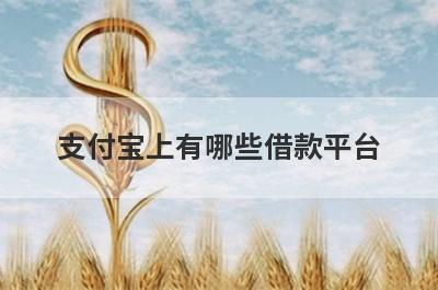 支付宝上有哪些借款平台?盘点支付宝上的借贷平台