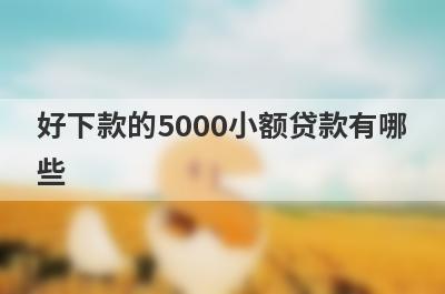 好下款的5000小额贷款有哪些?急用5000可以秒下款的小贷盘点