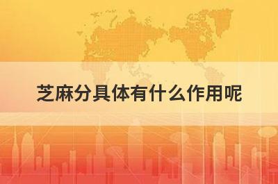 芝麻分具体有什么作用呢?