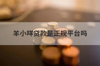 羊小咩贷款是正规平台吗?从多个方面来解读