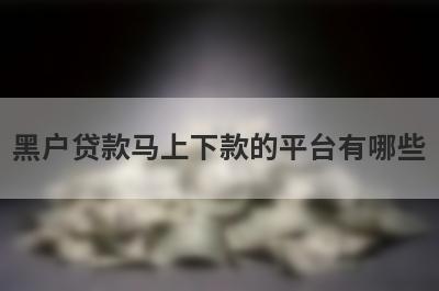 黑户贷款马上下款的平台有哪些?盘点5个黑户也能借款的口子