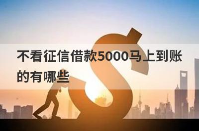 不看征信借款5000马上到账的有哪些?2022不看征信和大数据的贷款