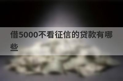 借5000不看征信的贷款有哪些?这几个不看征信秒下款