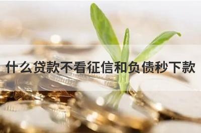 什么贷款不看征信和负债秒下款?这几个平台对征信负债要求低
