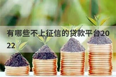 有哪些不上征信的贷款平台2022?这几个平台不看征信借款到账快