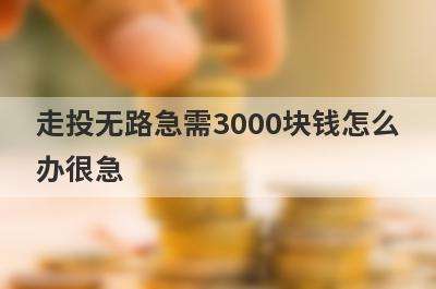 走投无路急需3000块钱怎么办很急?5个借款3000一分钟到账的平台