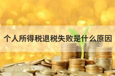 个人所得税退税失败是什么原因?还能重新申请吗?