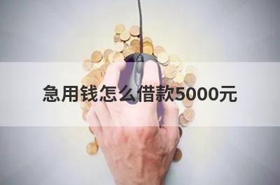 急用钱怎么借款5000元?小额借款5000急用的网贷