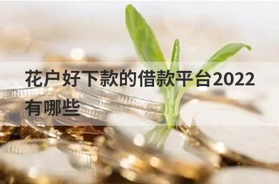 花户好下款的借款平台2022有哪些?5个花户秒下的贷款口子
