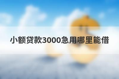小额贷款3000急用哪里能借?可以借3000元的小额贷款
