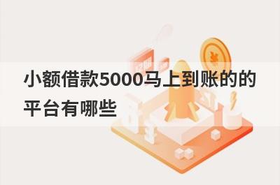 小额借款5000马上到账的的平台有哪些?这几个借5000快速放款