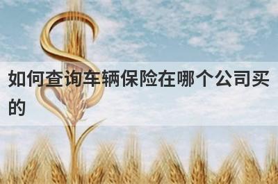 如何查询车辆保险在哪个公司买的?车辆保险查询方法