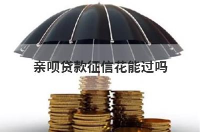 亲呗贷款征信花能过吗?
