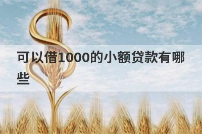 可以借1000的小额贷款有哪些?整理5个借一千的正规小额贷款