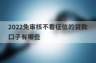 2022免审核不看征信的贷款口子有哪些?盘点5个免审批秒借钱的app