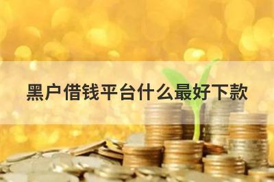 黑户借钱平台什么最好下款?盘点5个不看征信黑户好借钱的口子