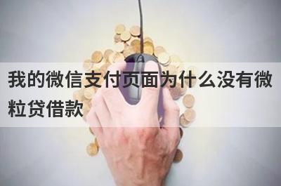 我的微信支付页面为什么没有微粒贷借款?