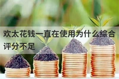 欢太花钱一直在使用为什么综合评分不足?