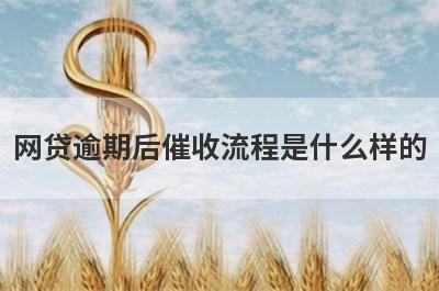网贷逾期后催收流程是什么样的