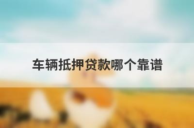 车辆抵押贷款哪个靠谱 不押车不押证的车主贷