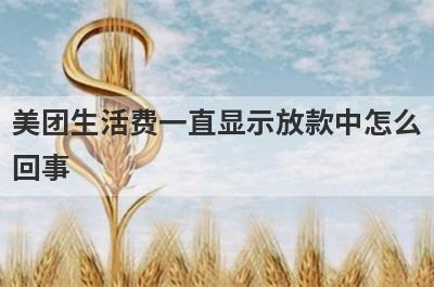 美团生活费一直显示放款中怎么回事?