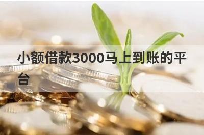 小额借款3000马上到账的平台,这几个平台借款3000元容易通过
