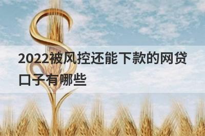 2022被风控还能下款的网贷口子有哪些?